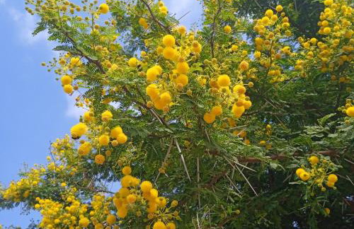 Apartments Karoma - Foto 26