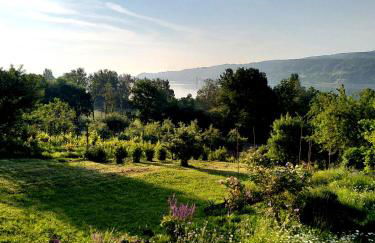 SEENAH - Ihre Wohnung am Bodensee / Untersee - Foto 21