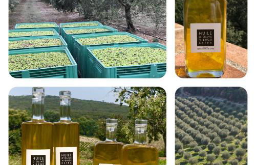 Mas Grenadine, magnifique villa du Piémont Cévenol - Foto 1