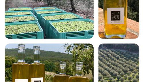 Mas Grenadine, magnifique villa du Piémont Cévenol - Foto 1