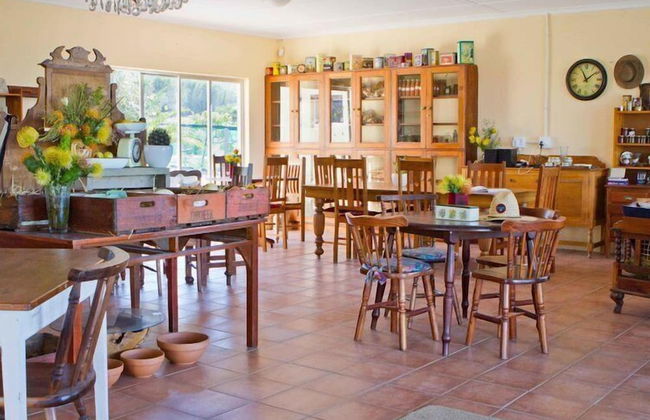 Groeneweide - Foto 43