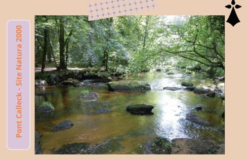 Le Ptit Kozhi - Vidéoprojecteur - Forêt & Plages - Foto 6