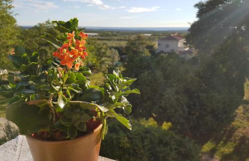 Apartman Andela - Foto 14