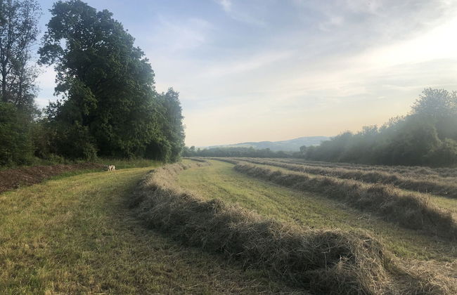 Stone House in Hamoir With Private Pool - Foto 35