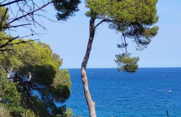 Apartment with garden and sea view Santa Cristina Blanes - Foto 50