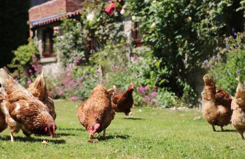 Rose Cottage - Foto 14