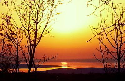 Holiday Home Lucija "" Private house with pool "" - Foto 3