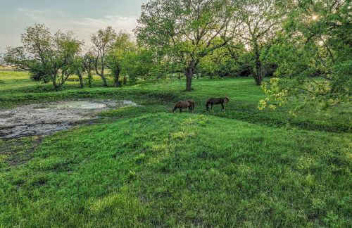 Container Home with Rooftop Views and Pickleball - Foto 28