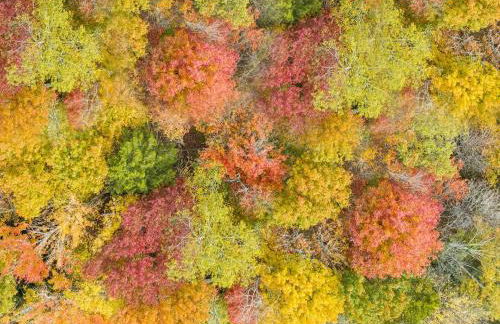 Vermont Retreat with private pool and tennis court - Foto 9