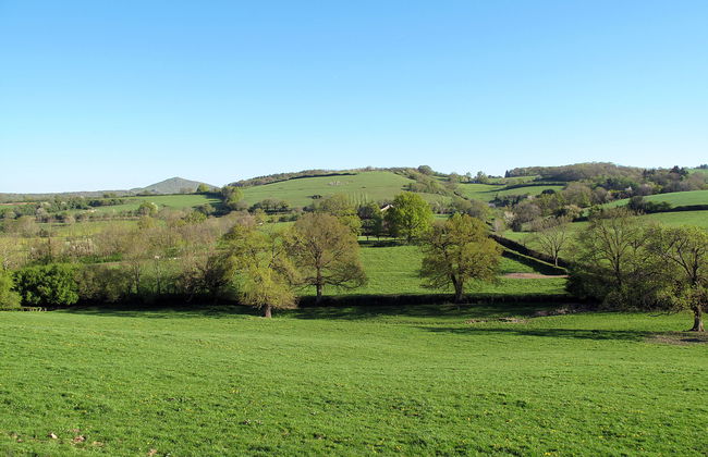 2 bedroom House in Chiddes with garden and terrace - Photo 22