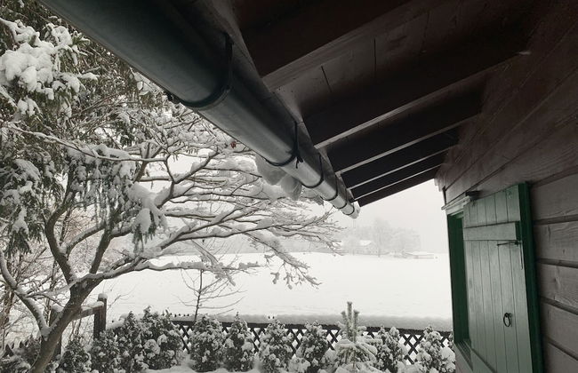 Waldchalet am Eichhof - Foto 28