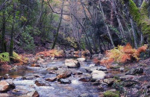 Alojamiento Turístico La alegría de la huerta - Foto 58