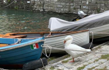 The best View Apartment Torno - Foto 26