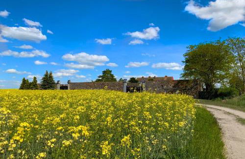Vierseitenhof Hasenfelde - Ferienwohnung Feldblick - Foto 1