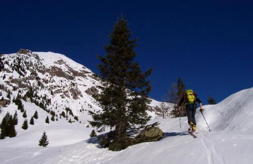 Alaska House - Yukon Room - Foto 51