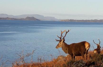 Sgurr Uran 5 night minimum stay - Foto 13