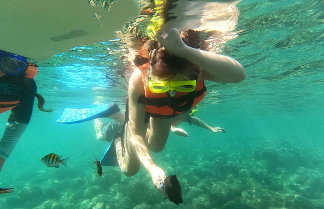 Snorkeling at Las Gatas Beach - Photo 2