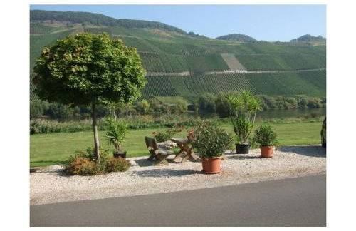 Holiday Apartment Moselle Beach 1 - Foto 29