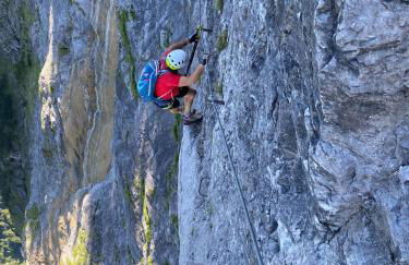 Trollenhof im Allgäu - Ferienwohnungen Säuling - Foto 43