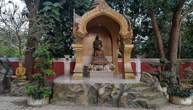 Excursión a la isla de Samui con visita al Fisherman Market - Foto 5