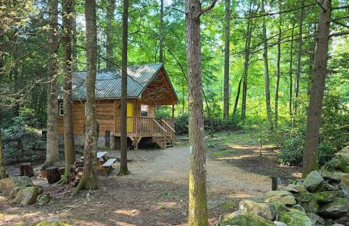 Holly Nest a Cozy Cabin Getaway near Gatlinburg - Photo 15