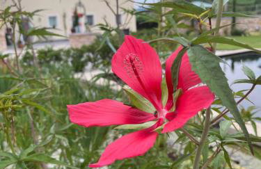 Agriturismo Corte Cea - Foto 14