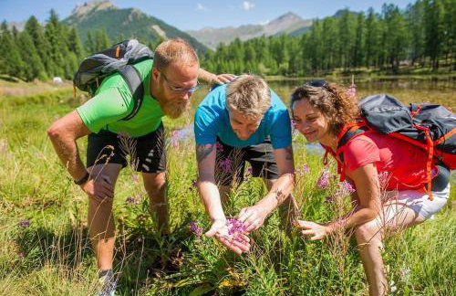 Paradis St Véran - Foto 33