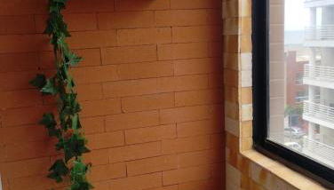 Torres a mais bela praia gaúcha - Foto 4