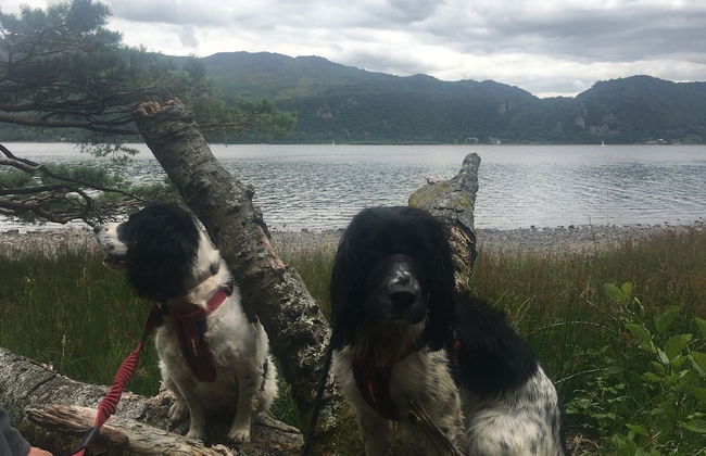 Stunning Lake District Cottage - Photo 12