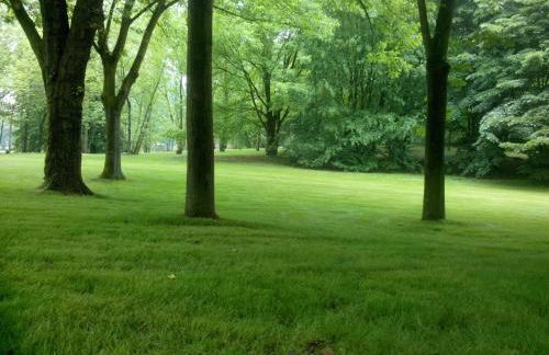 Casa Vacanze Tigli - Foto 11