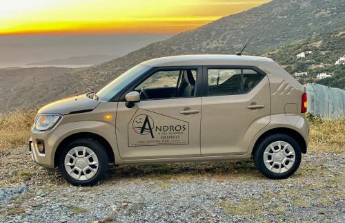 Andros 4 All Seasons Villas & Suites - Photo 114