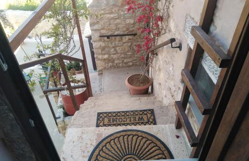 Pandera areopoli - Foto 54