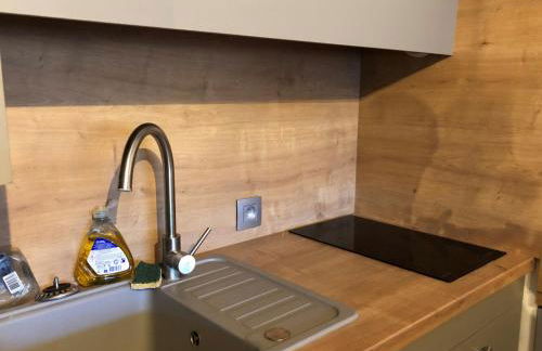 Studio Familial aux Gets - Balcon Sud, Proche Télécabines et Skis, Parking et Confort Inclus - FR-1-671-254 - Foto 7