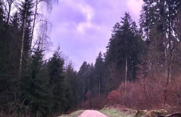 Gästehaus Melitta - Foto 32