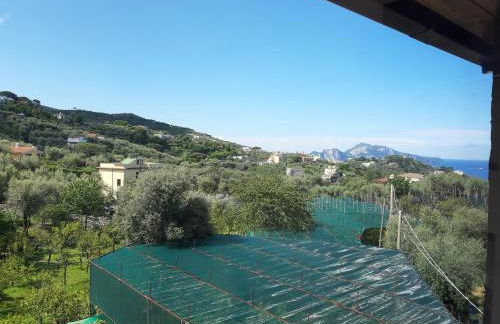 La Lobra Dépendance - Foto 30