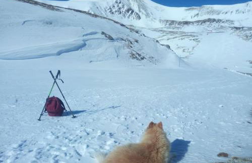 Bungalow en parc natural del Ter 2000 metres - Foto 44
