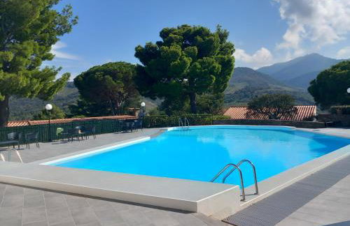 Les mimosas - Foto 20