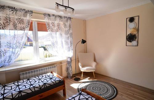 Apartament z tarasem i pokoje KLIMATYZOWANE -Drozdówka Solina - Foto 37