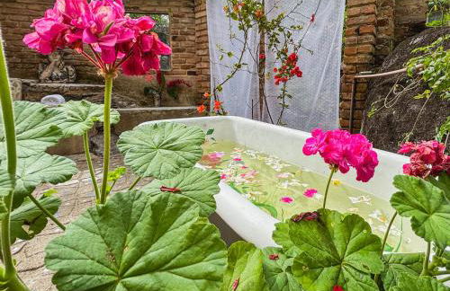 Studio Lila - Foto 29