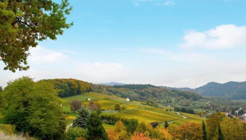 Ferienhaus Zur Alten Dame - Foto 4
