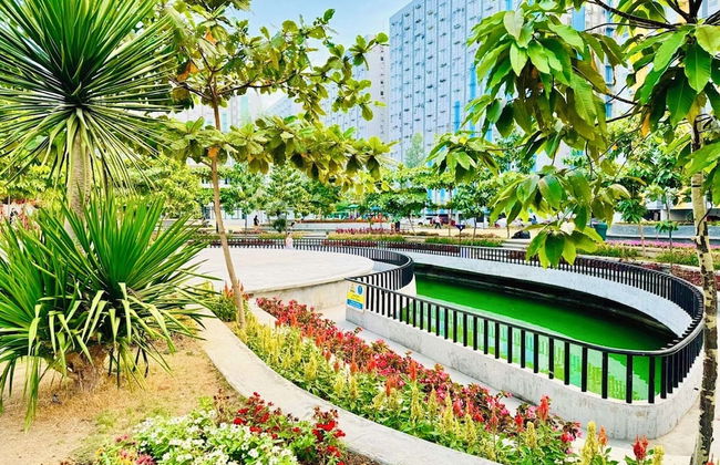 Pandora's Nest - Foto 57