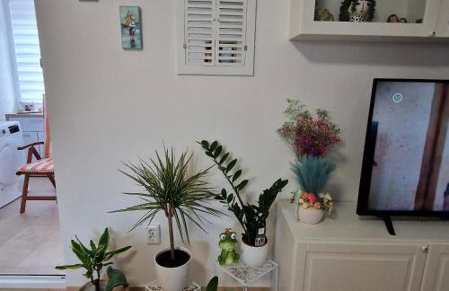 Apartment CHARLY - Photo 26