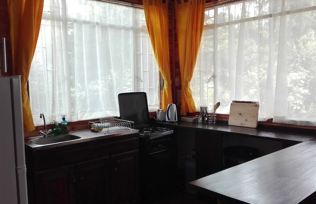 Woodland Gardens - Photo 23