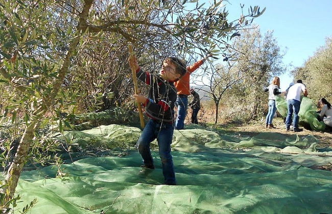 Casas do Durão - Foto 27