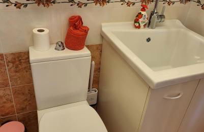 Small Dream - Photo 34