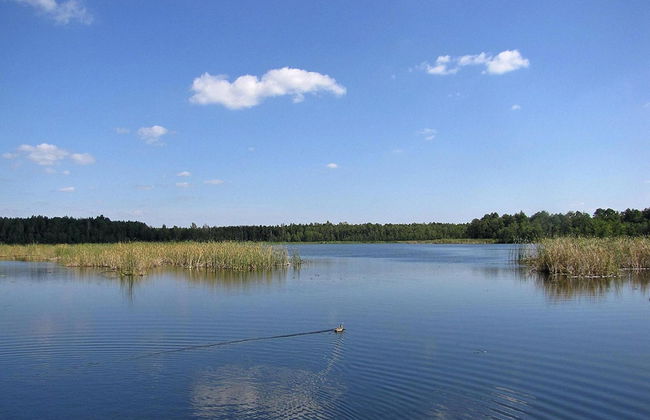 Holiday Home by Lake Wilkasy With Rowboat - Foto 31