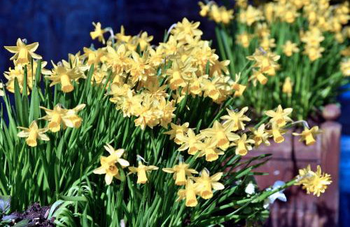 Finest Retreats - Stable Cottage - Photo 15