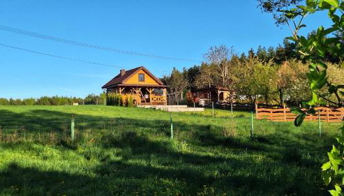 Domek Nad Stawem Bory Tucholskie - Foto 4