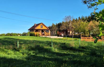 Domek Nad Stawem Bory Tucholskie - Foto 4