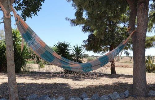 Monte da Figueira Brava - Foto 38